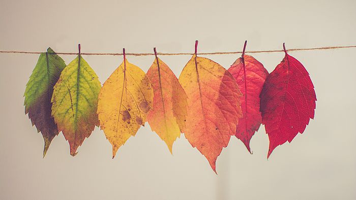 Ist Ihr Lagerraum bereit für den Herbst?