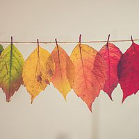 Ist Ihr Lagerraum bereit für den Herbst?